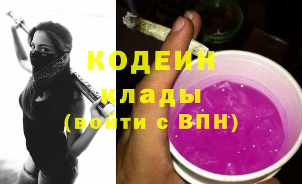 соль ск Нея