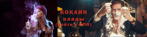 соль ск Нея