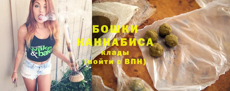 Бошки Шишки планчик  Инта 